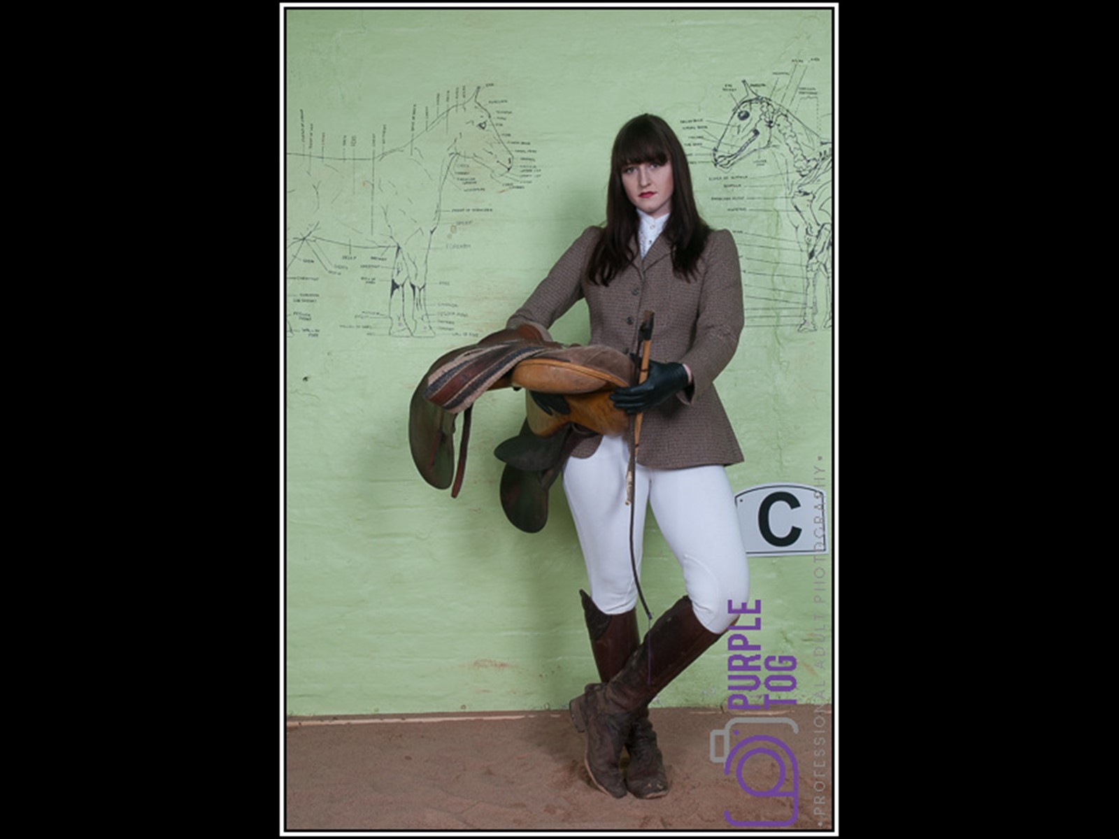 Polo Saddle Horse Riding Equestrian Mistress Derby Celestial Studios